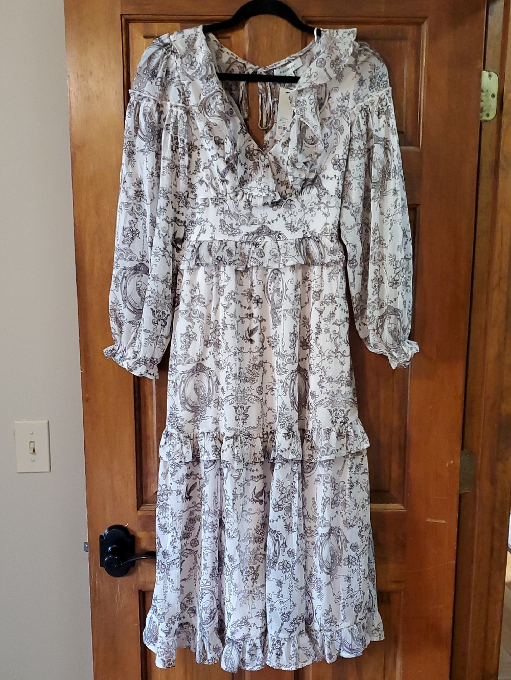 Francesca's Collections Cream and Brown Toile Maxi Dress